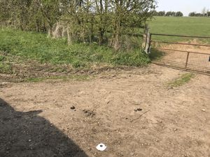 Photo 3- click for photo gallery